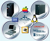 I pi i importanti sistemi operativi e database. 